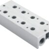 DB100M Series Manifold