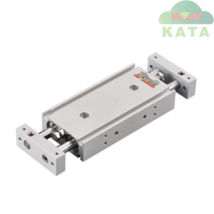 Chanto DXW Twin-rod cylinder
